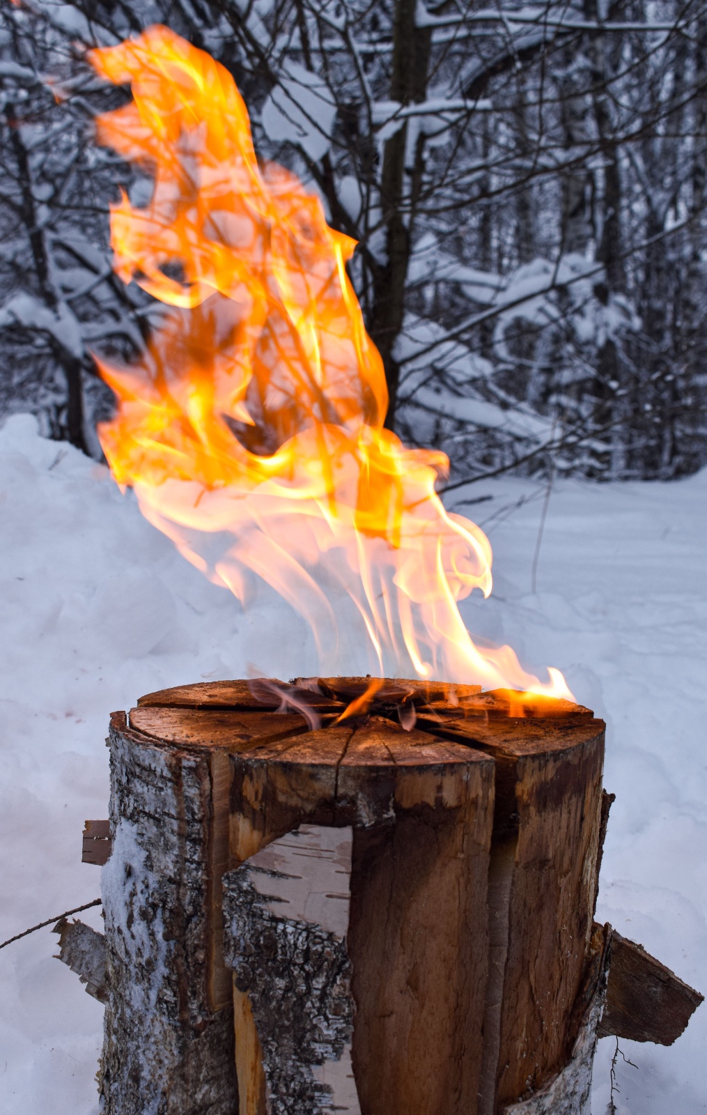 Schwedenfeuer / Baumfackel aus Holz